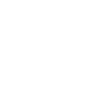 Reclamebureau Kortrijk - Mioo Design - Klant Logo Aniwayz - West-Vlaanderen